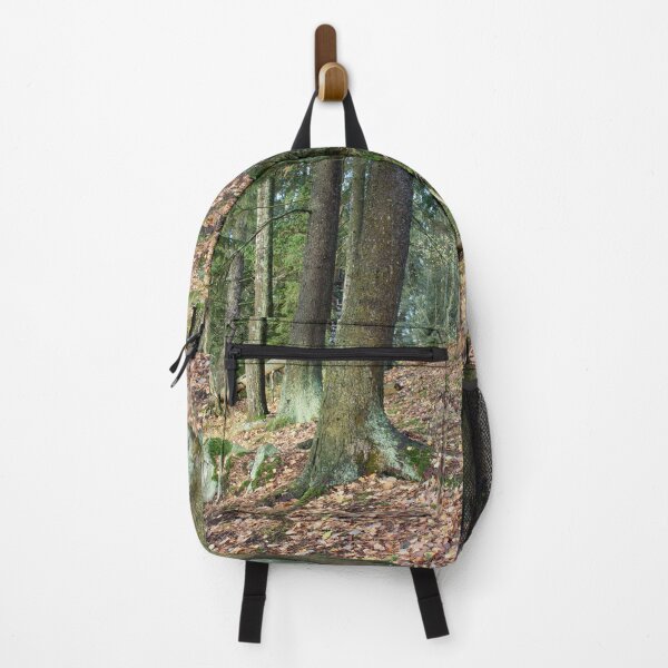 Item preview, Old Spruces by the lake. Pyhajarvi fall. designed and sold by Jouko Lehto Photography.