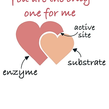 Artwork thumbnail, Enzyme-Substrate Complex by -mint-