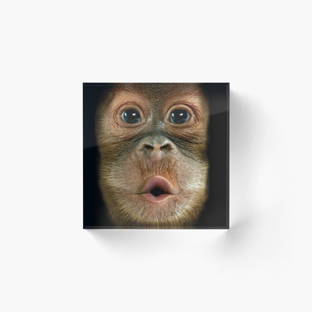 Funny Chimpanzee Face Art Board Print For Sale By Harshalpardeshi Redbubble