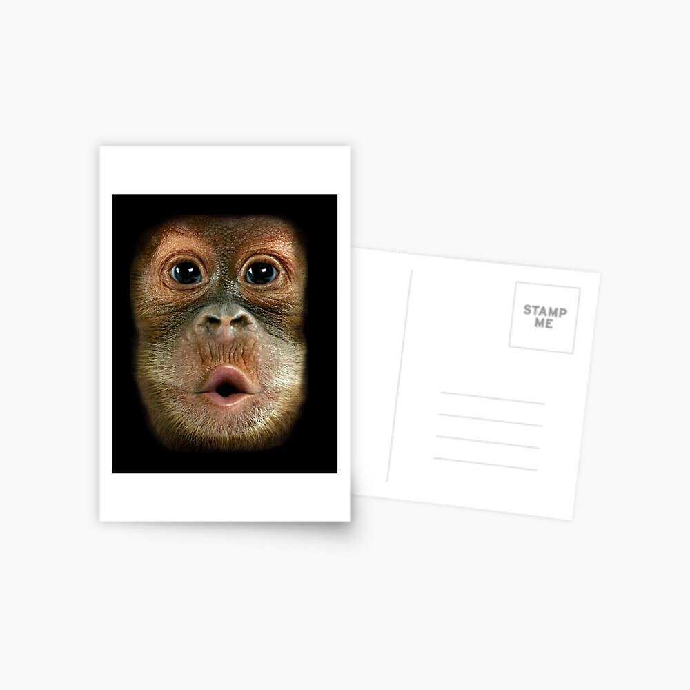 Item preview, Postcard designed and sold by HarshalPardeshi.