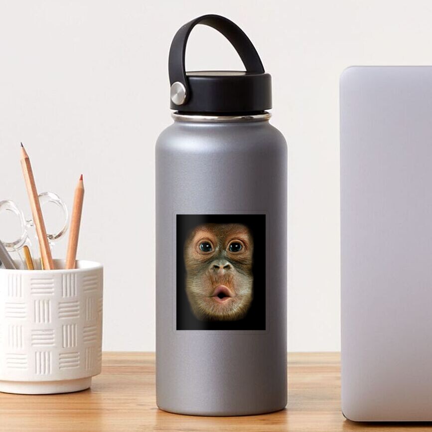 Item preview, Transparent Sticker designed and sold by HarshalPardeshi.