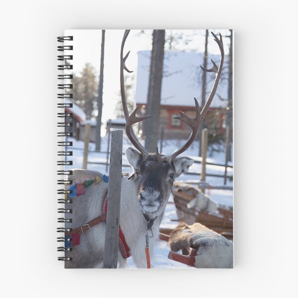 Item preview, Santa Claus Reindeer designed and sold by FotoJarmo.