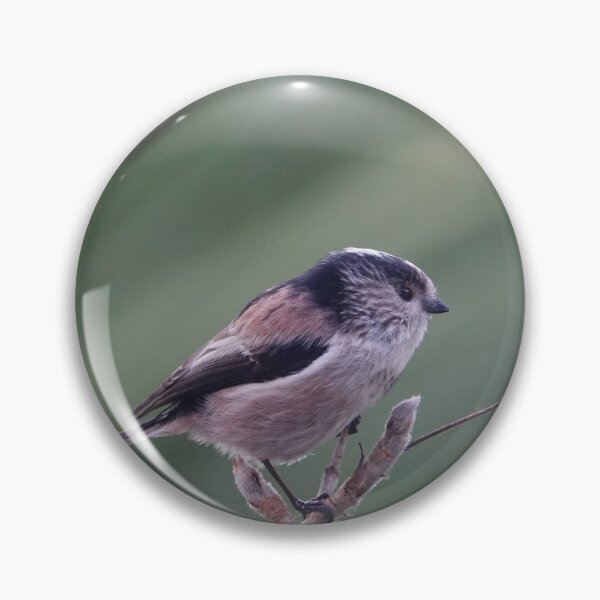 Item preview, On the twig. designed and sold by frogs123.