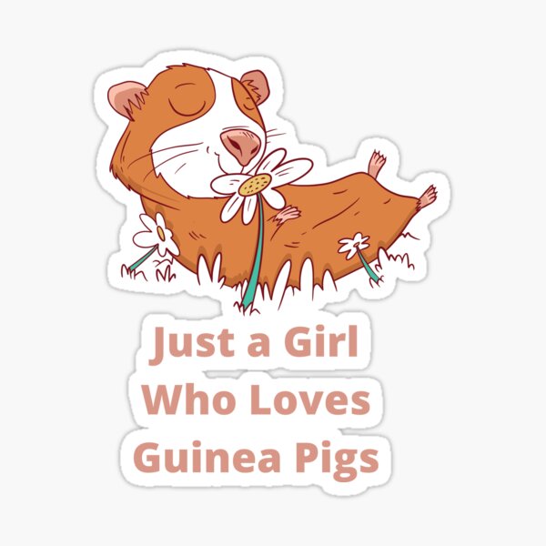 Just a Girl Who Loves Guinea Pigs Sticker