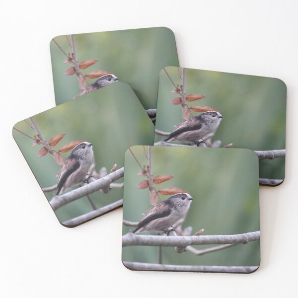 Item preview, Long tailed tit on twig. designed and sold by frogs123.
