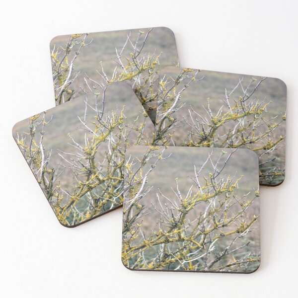 Item preview, Winter coastal tree branches designed and sold by chihuahuashower.