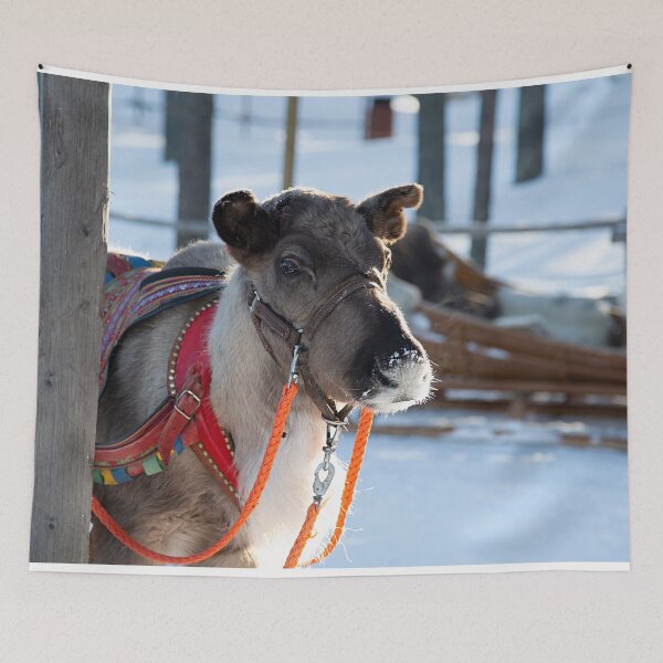 Item preview, Santa Claus Reindeer designed and sold by FotoJarmo.