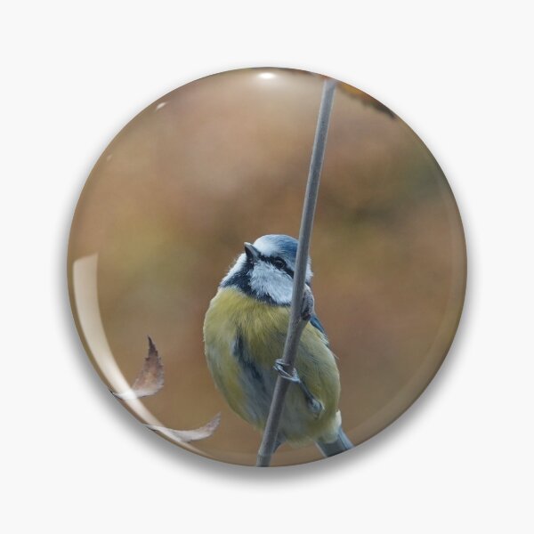 Item preview, Blue tit designed and sold by frogs123.