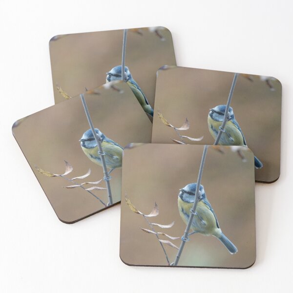 Item preview, Blue tit designed and sold by frogs123.