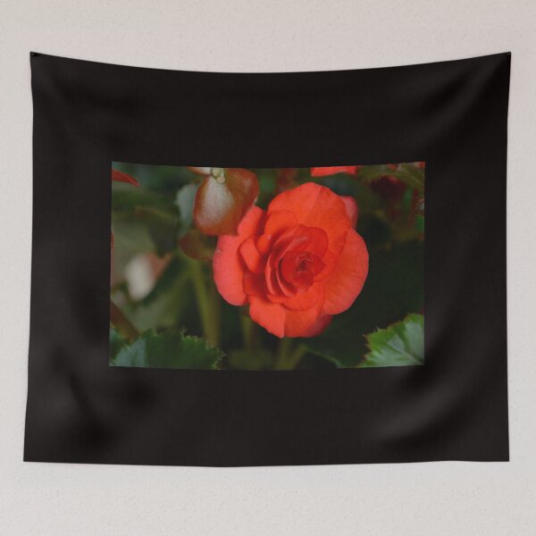 Item preview, Roses are Red designed and sold by RewskiPhotos.