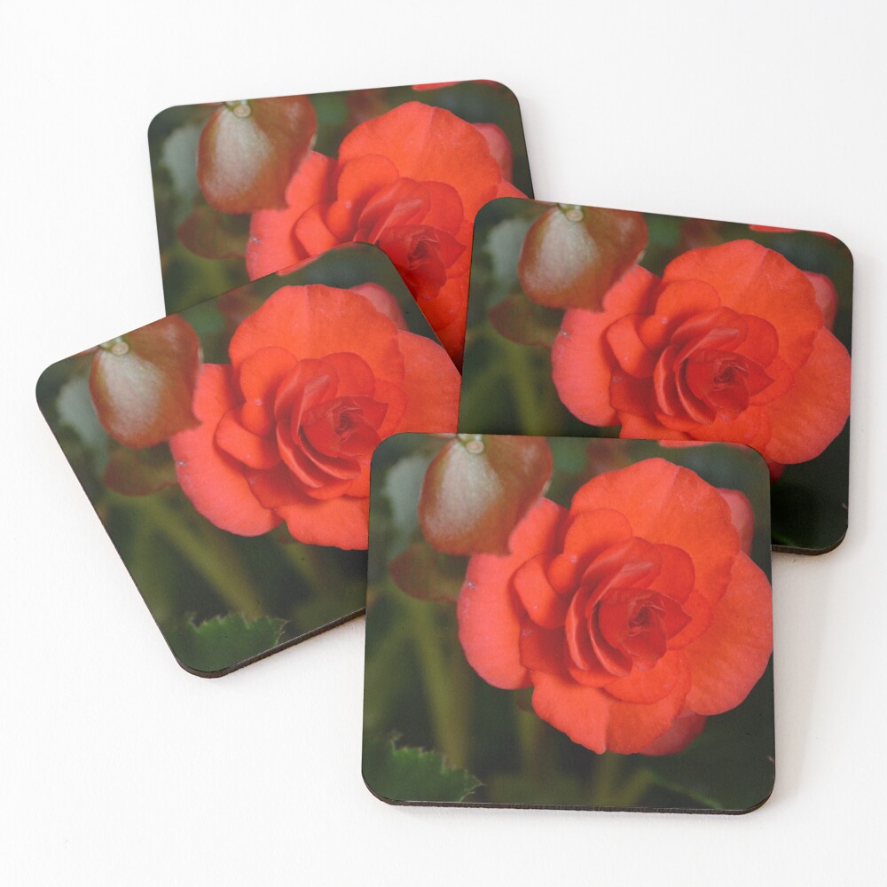 Item preview, Coasters (Set of 4) designed and sold by RewskiPhotos.