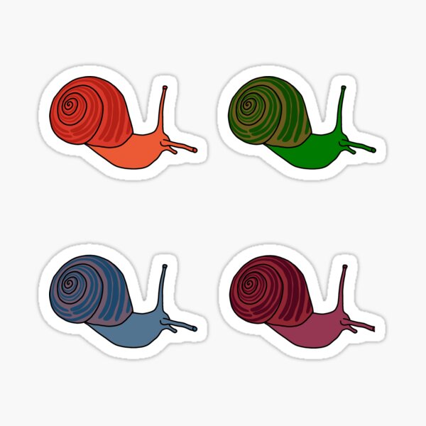 snail art snail lover car sticker bumper sticker snails forestcore nature art