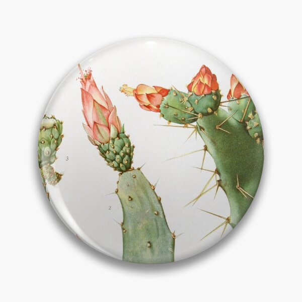 Artikelvorschau, Vintage Nopalea Botanical Print von den Cactaceae entworfen und verkauft von Douglas E. Welch Design and Photography.