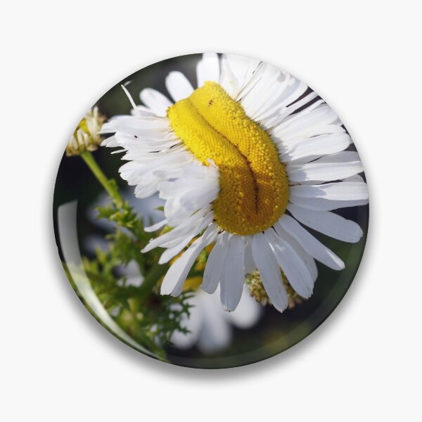Artikelvorschau, Faszinierte Blumen entworfen und verkauft von GreyFeatherPhot.