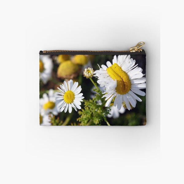 Item preview, Fasciated flowers designed and sold by GreyFeatherPhot.