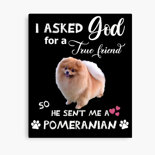 Pomeranian Meme Wall Art for Sale | Redbubble