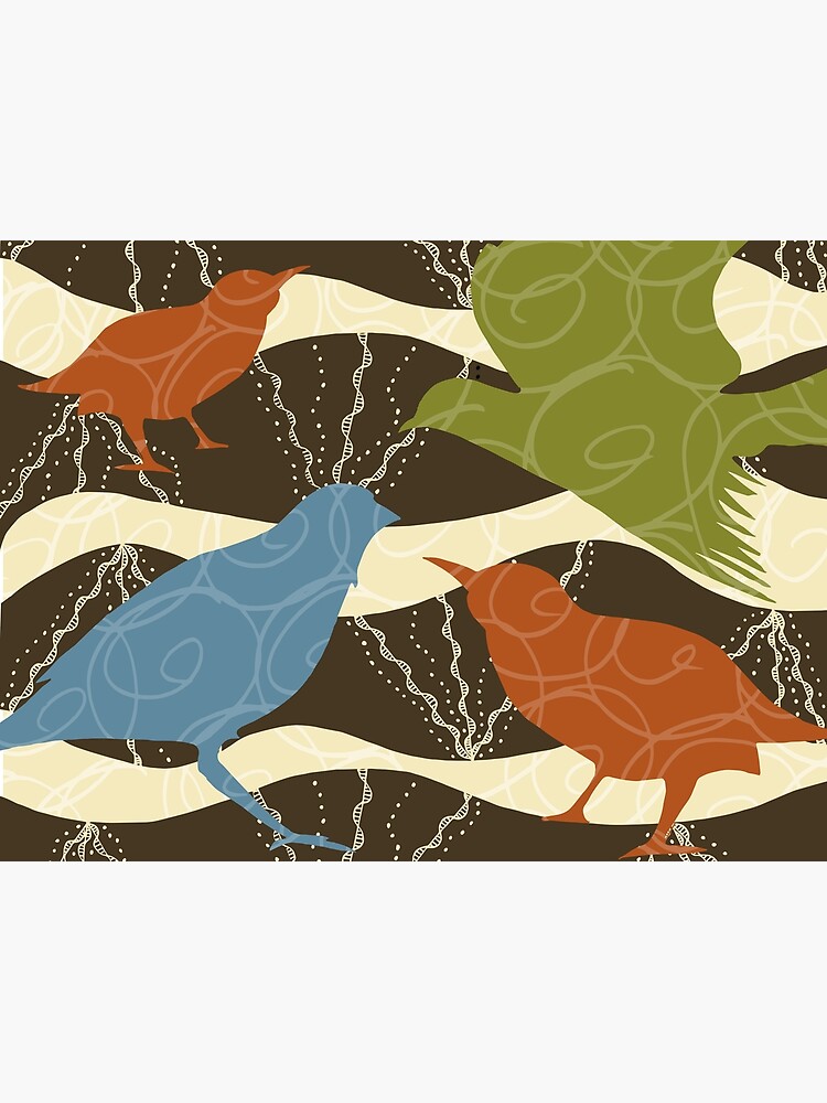 Colorful Birds and Doodles by bbaxterstudio