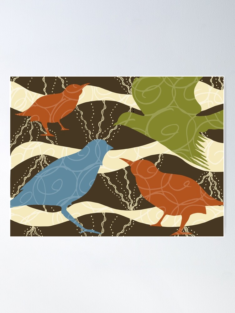 Alternate view of Colorful Birds and Doodles Poster