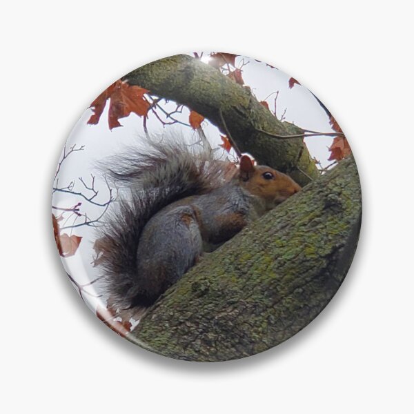 Item preview, Screaming Squirrel designed and sold by Casterixe.