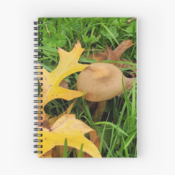 Item preview, Mushroom leaves designed and sold by Casterixe.