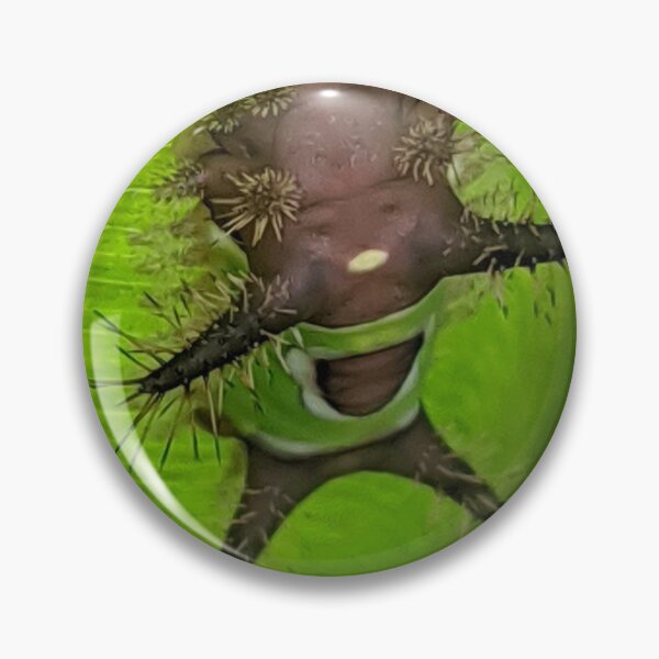 Item preview, Saddleback caterpillar designed and sold by Jenambs.