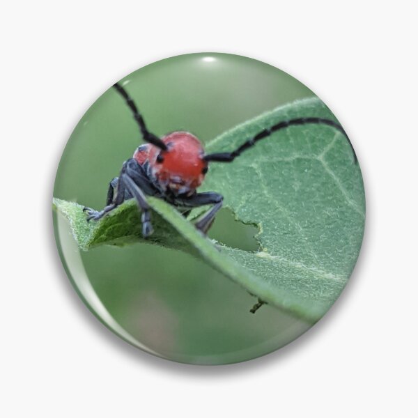 Item preview, Milkweed bug designed and sold by Jenambs.
