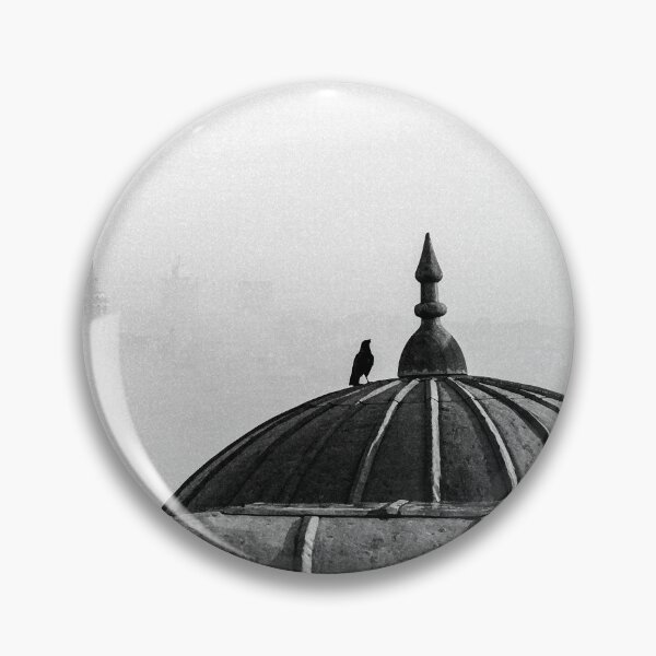 Item preview, The crow and the dome designed and sold by hayrettinsokmen.