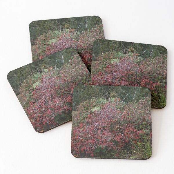 Item preview, Autumn Bush designed and sold by GNHCreative.