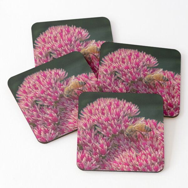 Item preview, A Bee on Sedum designed and sold by Gerda Grice Photography.