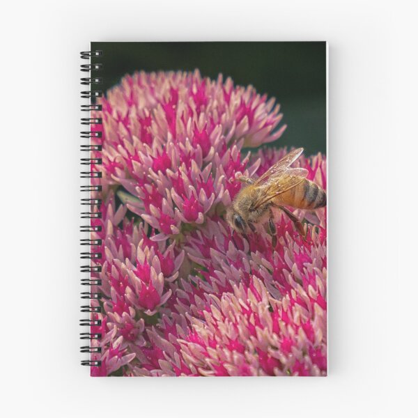 Item preview, A Bee on Sedum designed and sold by Gerda Grice Photography.
