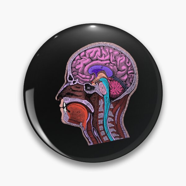 Item preview, Colored Antique Head and Brain Anatomy Illustration designed and sold by ScienceSource.