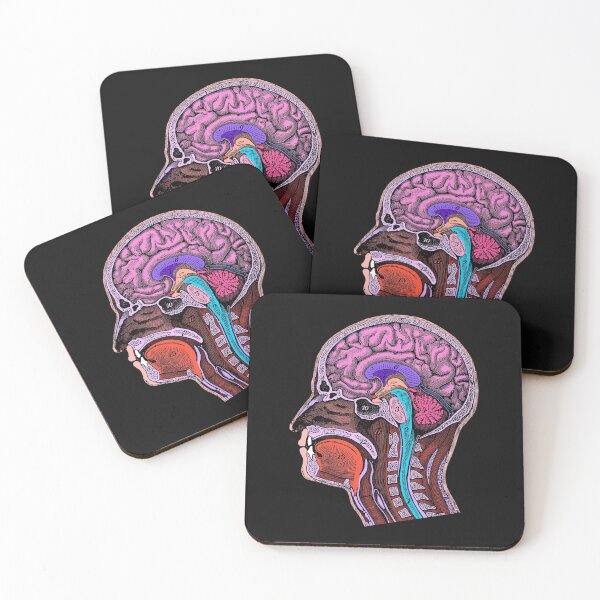 Item preview, Colored Antique Head and Brain Anatomy Illustration designed and sold by ScienceSource.