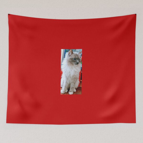 Aperçu de l'œuvre Chat Ragdoll créée et vendue par Fluffycat2020.
