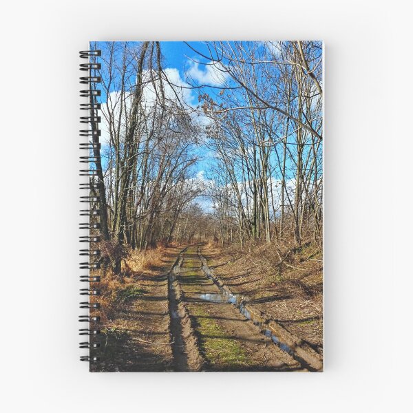 Item preview, The Road Less Traveled  designed and sold by Lanis Rossi.