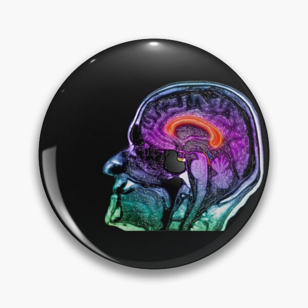 Item preview, Brightly Colored Head and Brain Anatomy MRI Brain Scan designed and sold by ScienceSource.