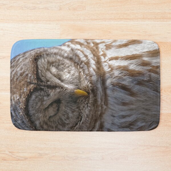 Aperçu de l'œuvre Barred Owl créée et vendue par Owl-Images.
