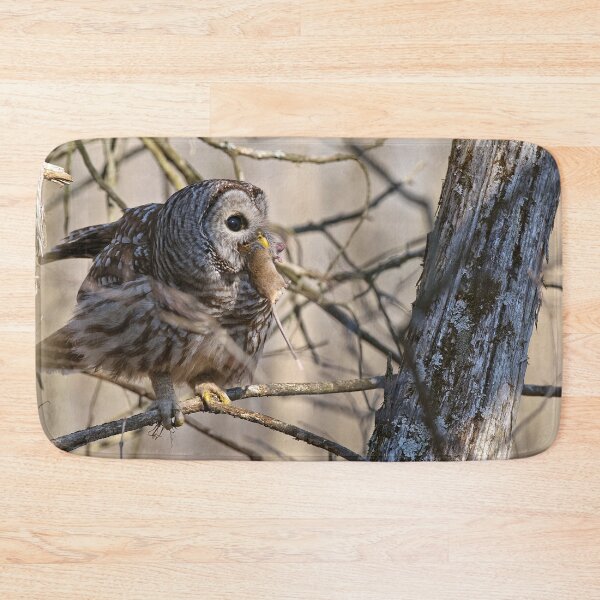 Item preview, Barred Owl designed and sold by Owl-Images.