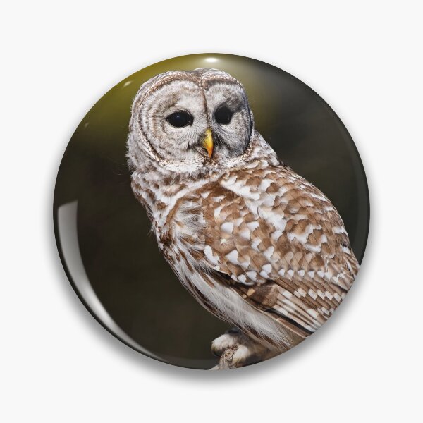 Item preview, Barred Owl designed and sold by Owl-Images.