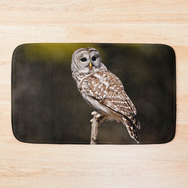 Item preview, Barred Owl designed and sold by Owl-Images.