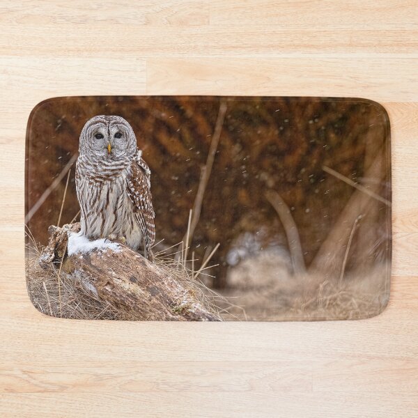 Item preview, Barred Owl designed and sold by Owl-Images.
