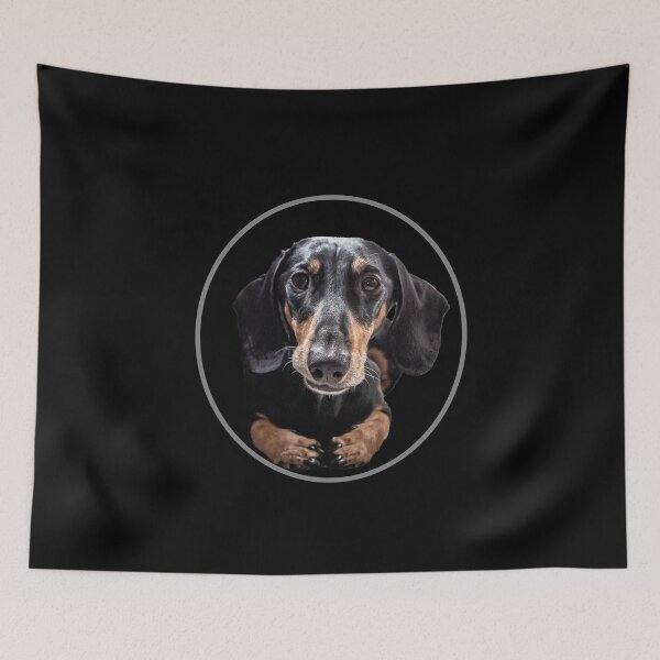 Item preview, Miniature dachshund designed and sold by Ninnudez.