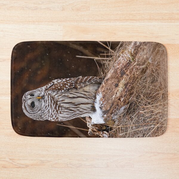 Aperçu de l'œuvre Barred Owl créée et vendue par Owl-Images.