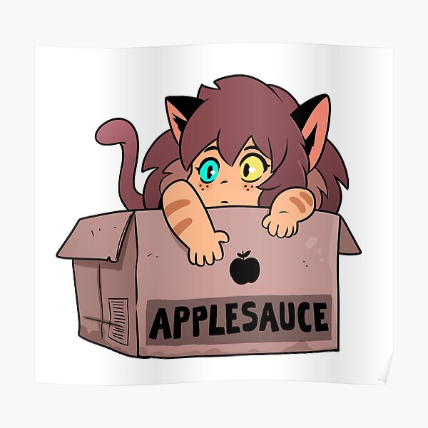 Catra in a box Póster