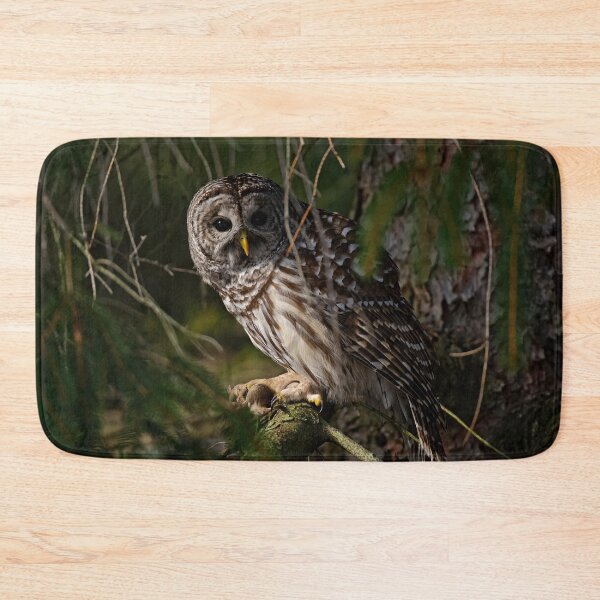 Item preview, Barred Owl designed and sold by Owl-Images.