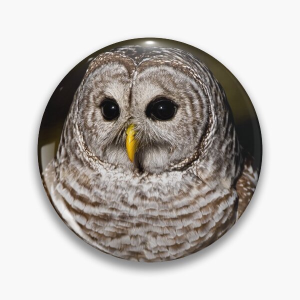 Item preview, Barred Owl designed and sold by Owl-Images.