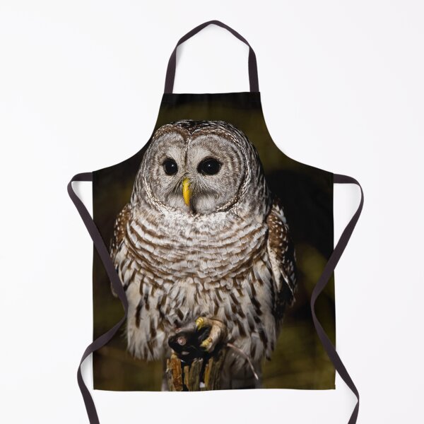 Item preview, Barred Owl designed and sold by Owl-Images.