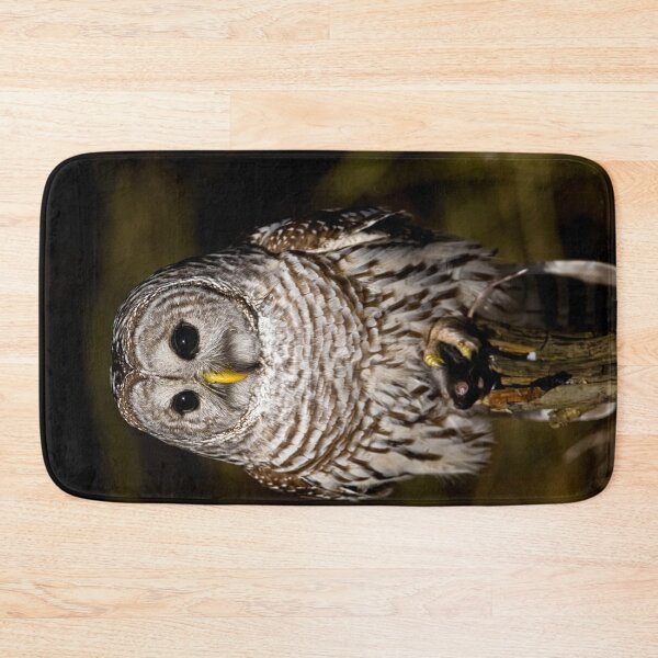 Aperçu de l'œuvre Barred Owl créée et vendue par Owl-Images.