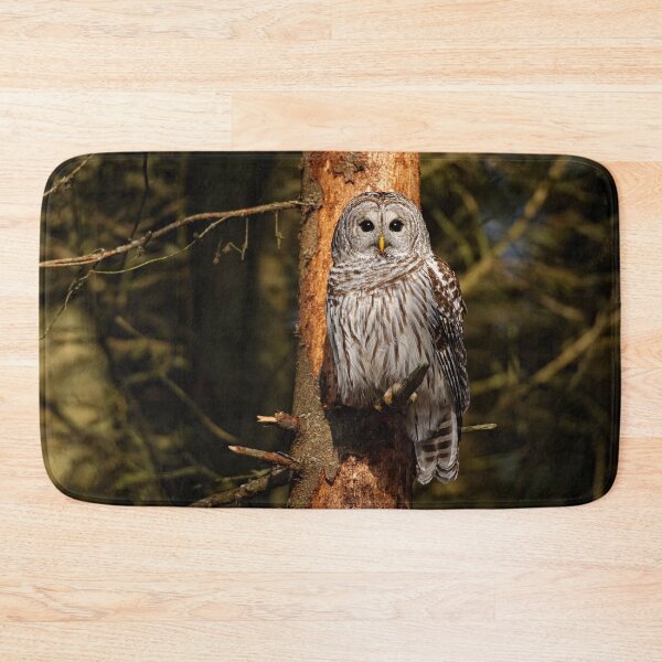 Item preview, Barred Owl On Pine designed and sold by Owl-Images.