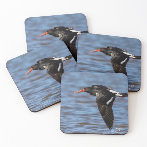 Item preview, Pied Oystercatcher  designed and sold by Wanderingeagles.