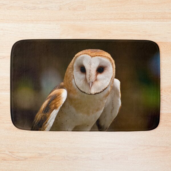 Item preview, Barn Owl designed and sold by Owl-Images.